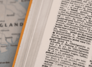 狗狗訓練的重要性：了解犬種與固有特性的關鍵